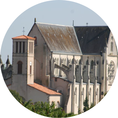 cropped image 4