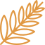 palm leaf