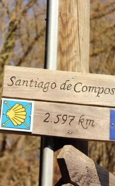 nature, jakobsweg, santiago de compostela, distance, hike, pilgrimage, signpost, scallop, hiking sign, pilgrim path, jakobsweg, jakobsweg, jakobsweg, jakobsweg, jakobsweg, pilgrimage, pilgrimage, pilgrimage