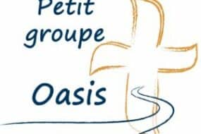 Logo OASIS SMVS scaled 300x221 1