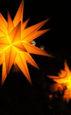 christmas star, advent, christmas, star, christmas party, christmas decor, christmas eve, advent season, decoration, lamp, orange, christmas tree, december, christ child, christmas star, christmas star, christmas star, christmas star, christmas star, advent, christmas, christmas, christmas, christmas party, christmas eve, christmas tree, christmas tree