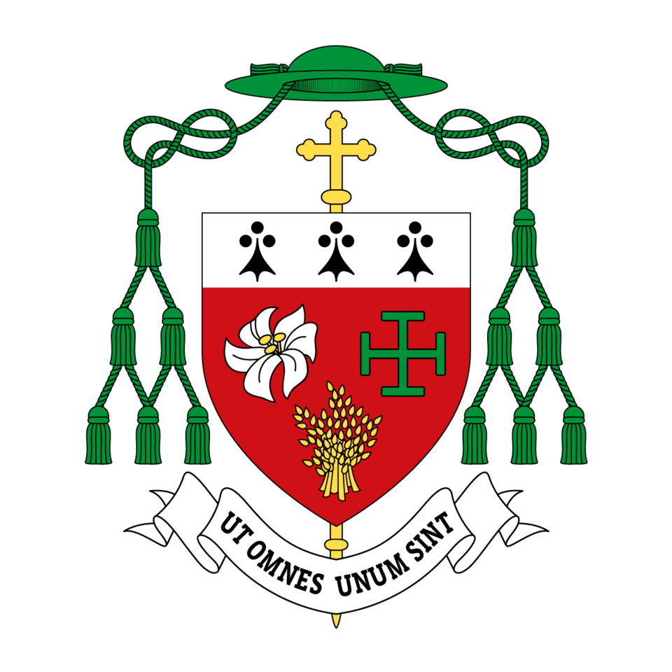 Fin de vie: communiqué de Mgr Percerou