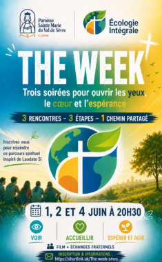 Poster the week smvs