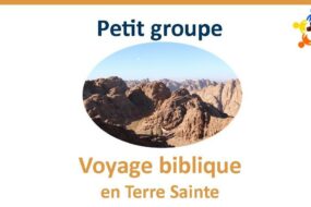 PetitGroupe VB1